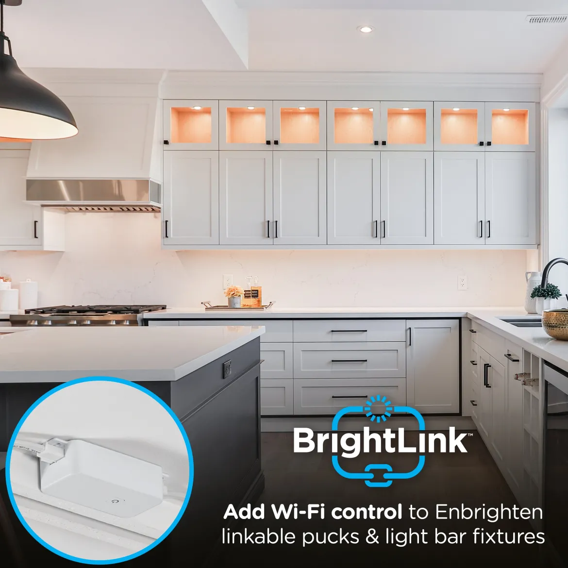 Enbrighten BrightLink Wi-Fi Switch