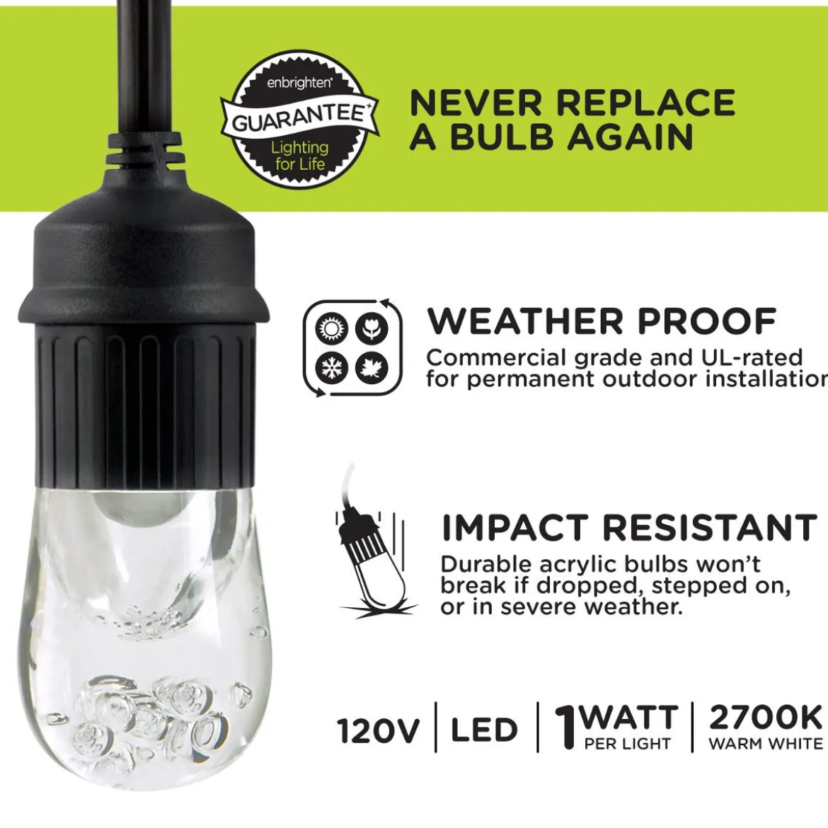 Enbrighten Classic LED Cafe Lights, 24 Bulbs, 48ft. Black Cord