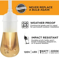 Enbrighten Light Bundle Vintage LED Cafe Lights (6 Bulbs, 12ft. White Cord) and 6 Stainless Steel Cage Shades