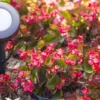 Enbrighten Mega Stake LED Landscape Light Management, 14in., Black