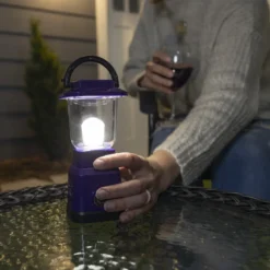 Enbrighten Mini Lantern, Purple