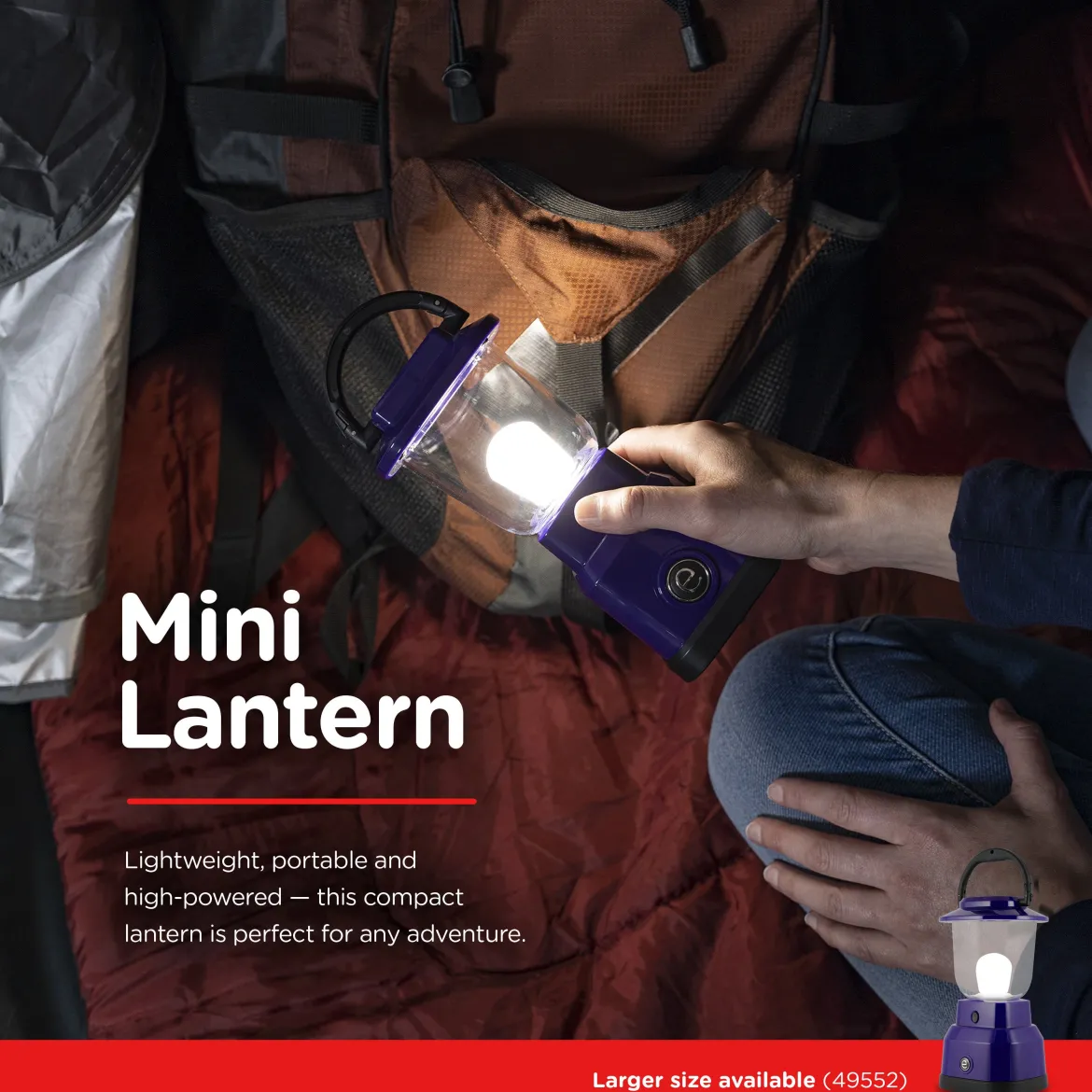 Enbrighten Mini Lantern, Purple
