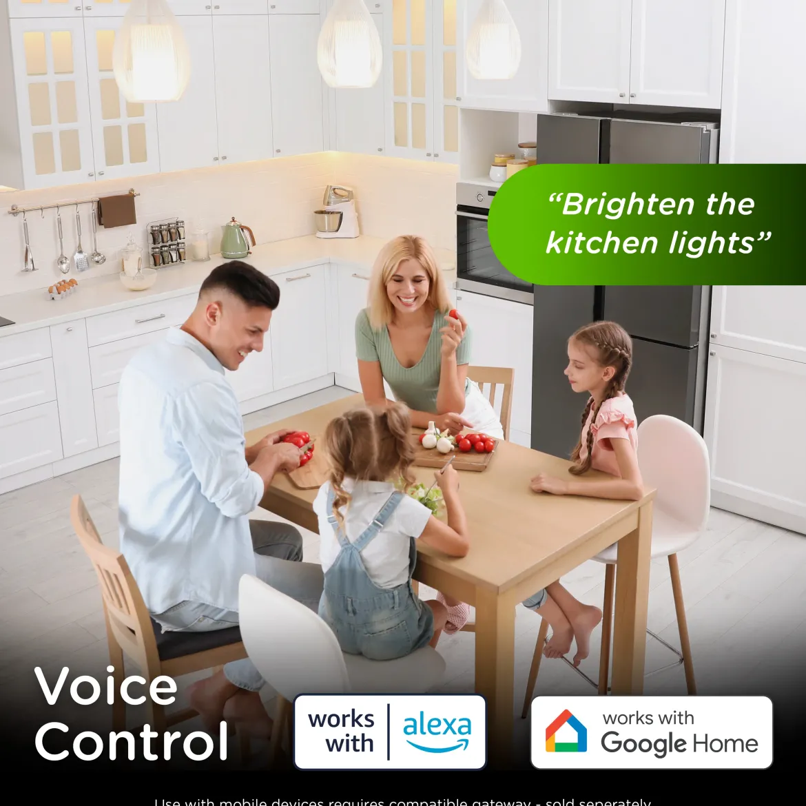 Enbrighten 800 Series Z-Wave Paddle Dimmer