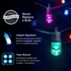 Enbrighten Smart Wi-Fi LED Café Lights, 10 Bulbs, 20ft.
