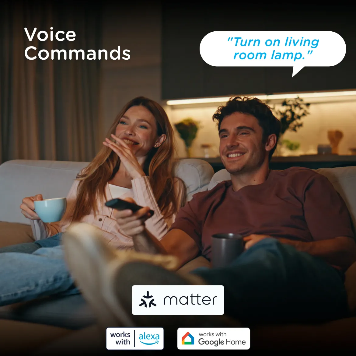 Enbrighten VIBE Indoor Single-Outlet Wi‑Fi Matter Smart Plug