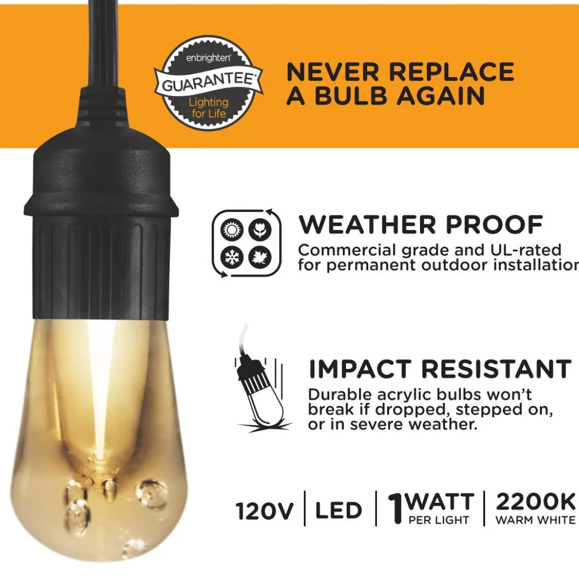 Enbrighten Vintage LED Cafe Lights, 24 Bulbs, 48ft. Black Cord