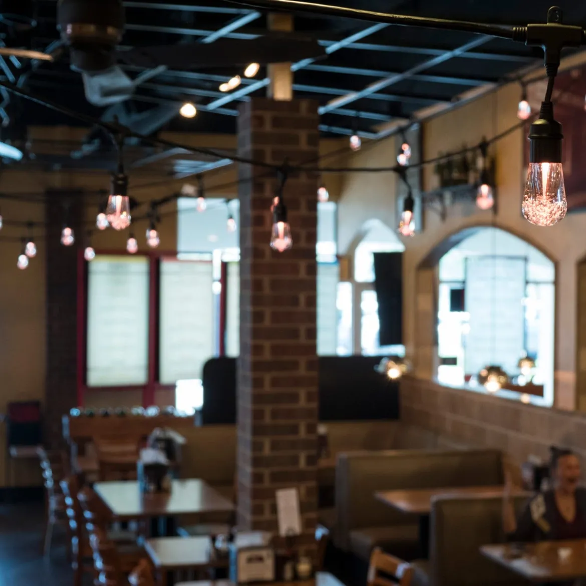 Enbrighten Vintage LED Cafe Lights, 24 Bulbs, 48ft. Black Cord
