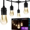 Enbrighten Vintage LED Cafe Lights, 12 Bulbs, 24ft. Black Cord