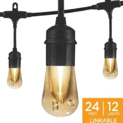 Enbrighten Vintage LED Cafe Lights, 12 Bulbs, 24ft. Black Cord