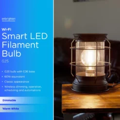 Enbrighten Wi-Fi Smart LED Bulb, Filament G25, Dimmable
