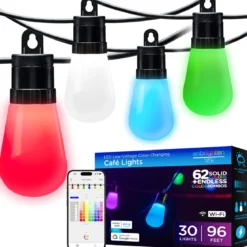 Enbrighten WiFi VIBE Color-Changing Lightweight LED Cafe Lights, 30 Plastic Bulbs, 96ft. Black Cord