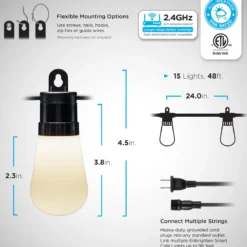 Enbrighten WiFi VIBE Color-Changing Lightweight LED Cafe Lights, 15 Plastic Bulbs, 48ft. Black Cord