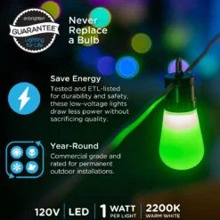 Enbrighten WiFi VIBE Color-Changing Lightweight LED Cafe Lights, 15 Plastic Bulbs, 48ft. Black Cord