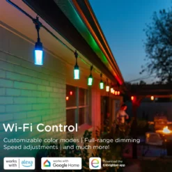 Enbrighten WiFi VIBE Modern Color-Changing LED Cafe Lights, 24 Bulbs, 48ft. Black Cord