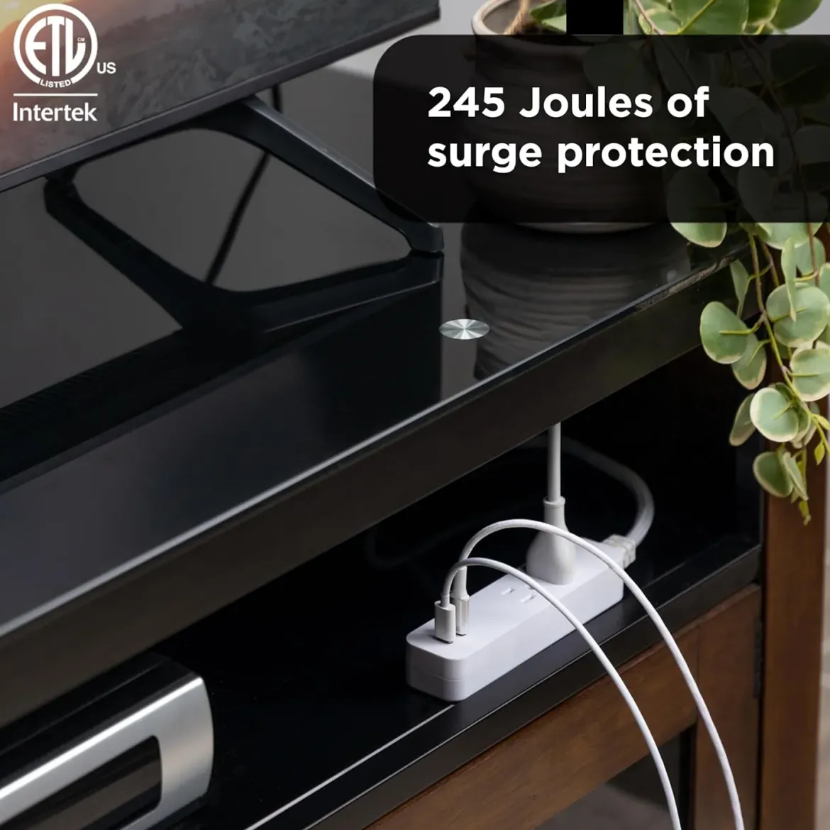 GE 2-Outlet 4ft. Surge Protector with USB Charging, White
