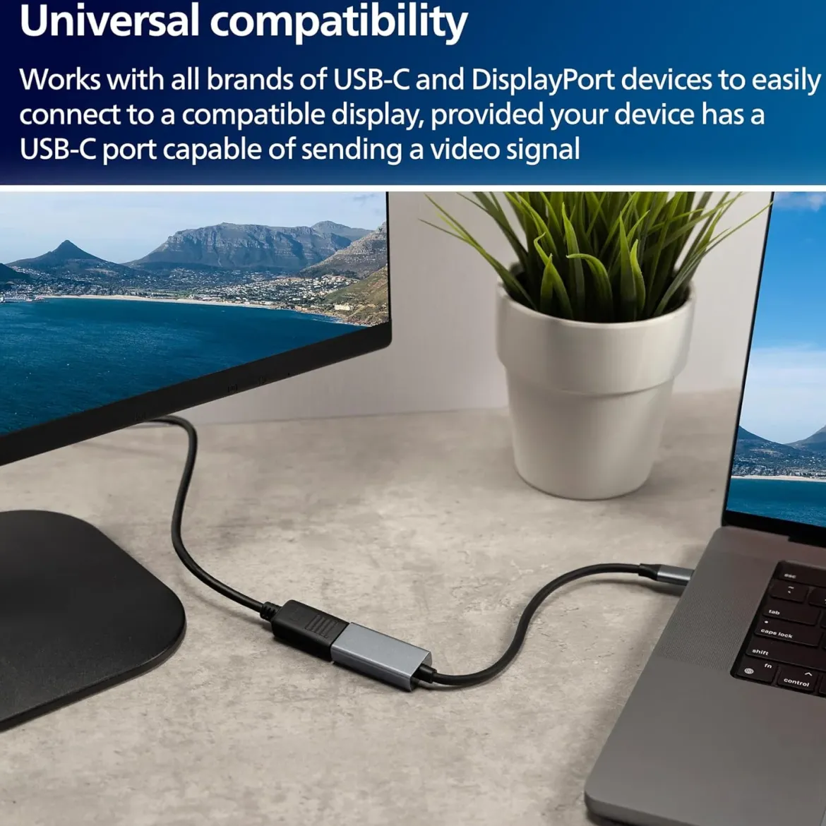 Philips USB-C to DisplayPort Adapter, 8K, 12pk