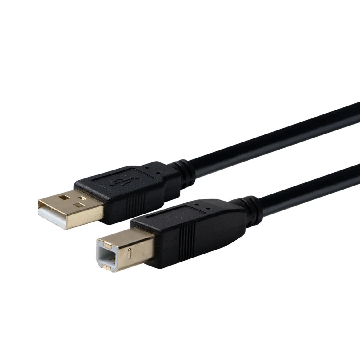 Philips USB 2.0 Device Cable., 16ft