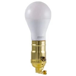 Power Gear Pull-Chain Lamp Socket, Brass